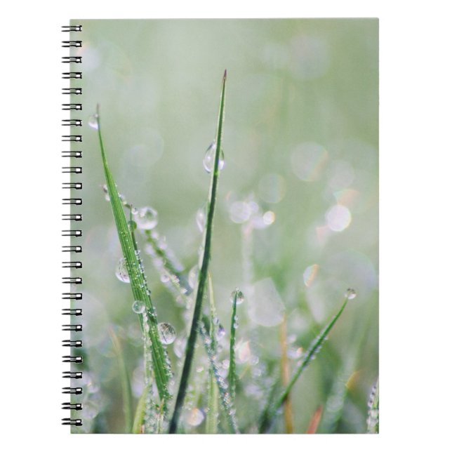 Dew-Covered Grass Blank Journal (Front)