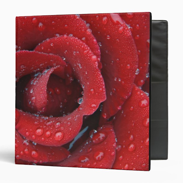 Dew covered red rose decorating grave site in binder (Front/Inside)