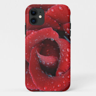 Dew covered red rose decorating grave site in iPhone 11 case