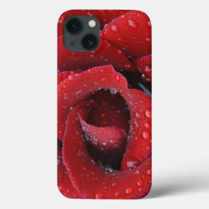 Dew covered red rose decorating grave site in iPhone 13 case