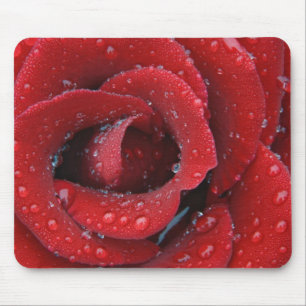 Dew covered red rose decorating grave site in mouse pad