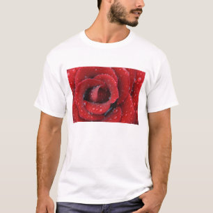 Dew covered red rose decorating grave site in T-Shirt
