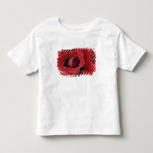 Dew covered red rose decorating grave site in toddler t-shirt
