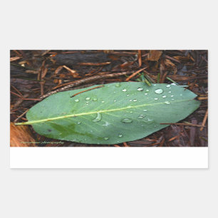 Dew Dappled Leaf Sticker