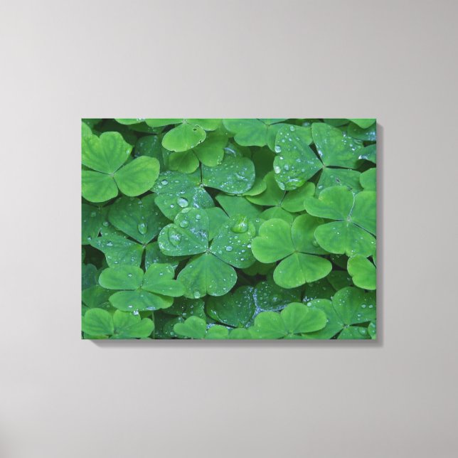 Dew Drenced Clovers Macro Photo Wall Art (Front)