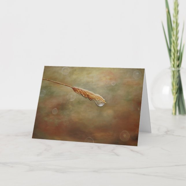 Dew Drop Greeting Card by Artist Alison Galvan (Front)