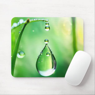 Dew Drop On Grass Mouse Pad