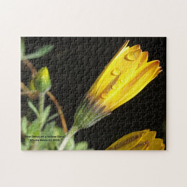 Dew Drop sur une marguerite jaune - Puzzle (Horizontal)