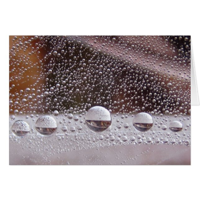 Dew Drop Yin Yang Carte Nature Paisible Avec Poème (Devant horizontal)