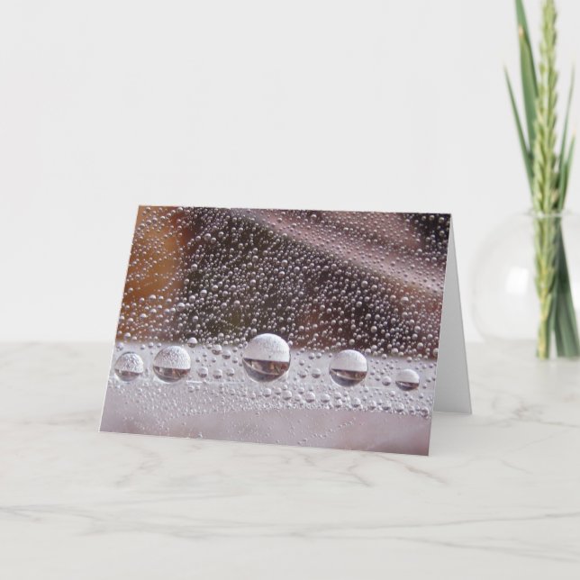 Dew Drop Yin Yang Stories in Nature Card (Front)