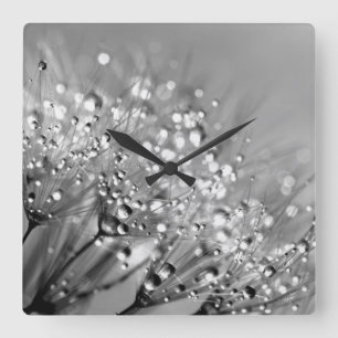 Dew Drops Black and White Square Wall Clock