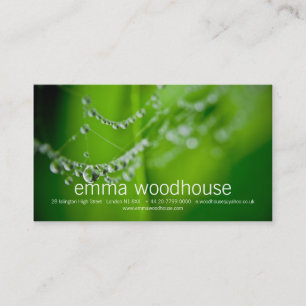 Dew Drops Business Card