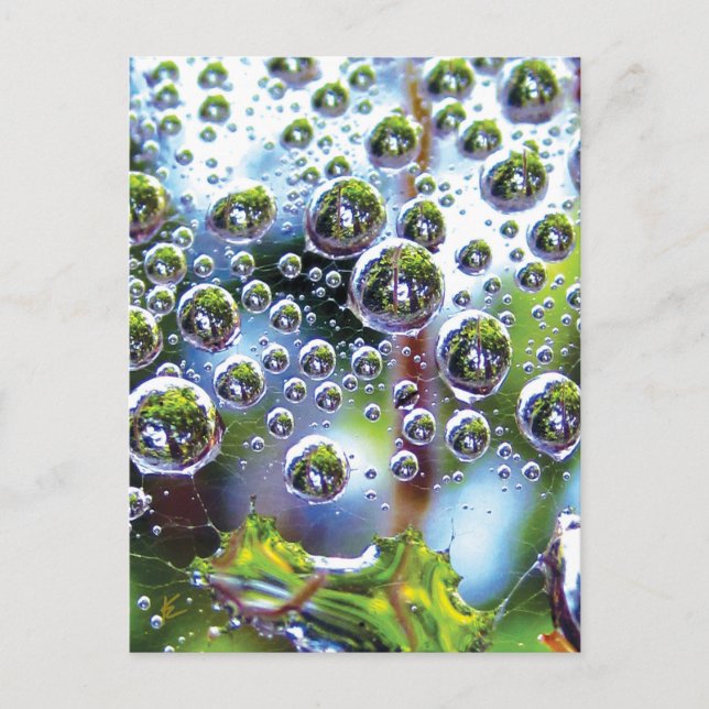 Dew Drops Cascade into Sky, Mesmerizing Botanical Postcard (Front)