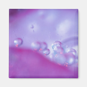 Dew drops on flower petal abstract. Credit as: Magnet