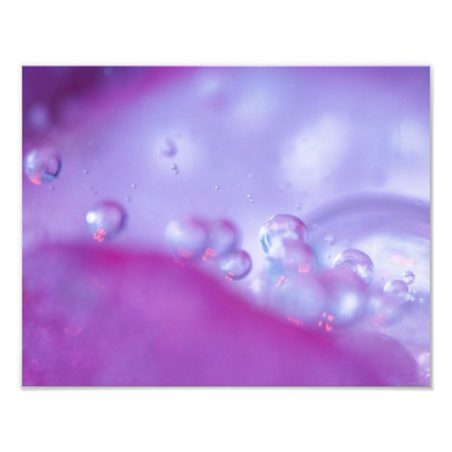 Dew drops on flower petal abstract. Credit as: Photo Print (Front)