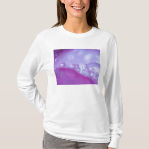 Dew drops on flower petal abstract. Credit as: T-Shirt
