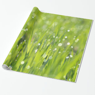 Dew Drops on Grass Wrapping Paper