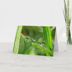 Dew Drops on Green Grass Poetry of Nature Card