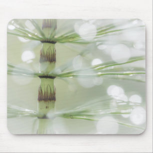 Dew Drops on Horsetail Plant Seabeck, WA Mouse Pad