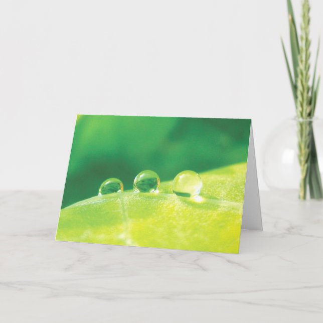 Dew Drops on Leaf Peaceful Nature Note Card (Front)