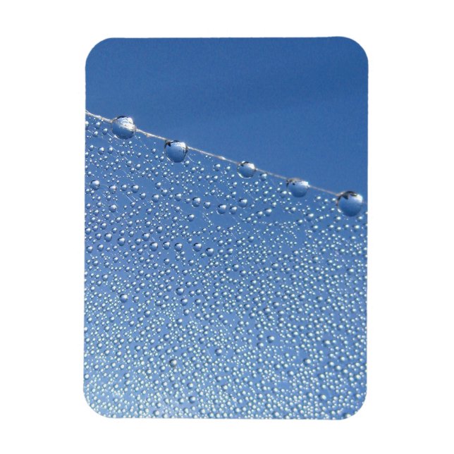 Dew Drops on Spider Web Against Blue Sky Magnet (Vertical)