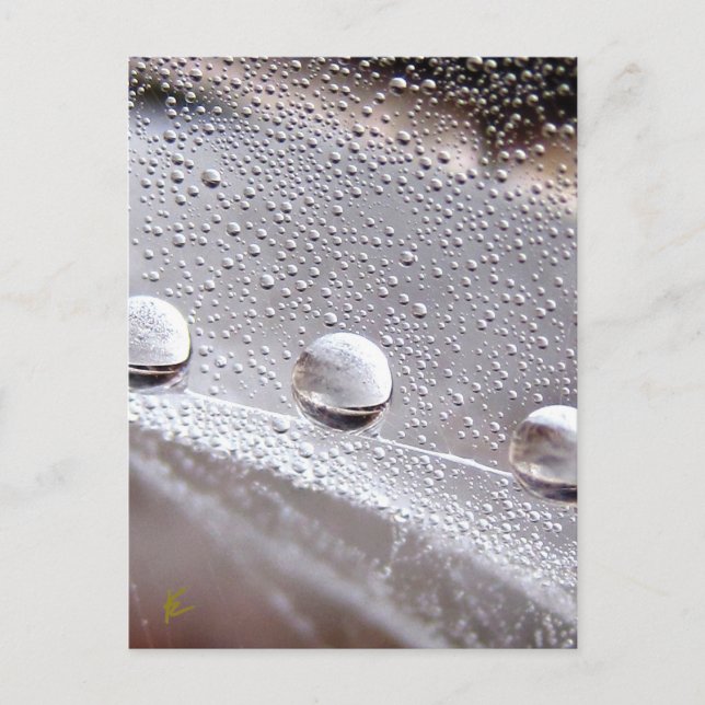 Dew Drops on Spider Web Galaxy Nature Postcard (Front)