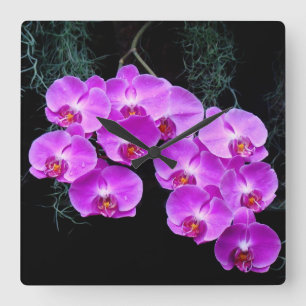Dew-Kissed Orchids Wall Clock