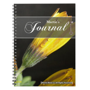 Dew sur un journal de marguerite jaune