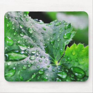 Dew Water Droplets Drops Mouse Pad