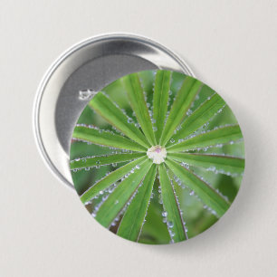 Dewdrop 3 Inch Round Button