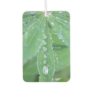 Dewdrop Air Freshener