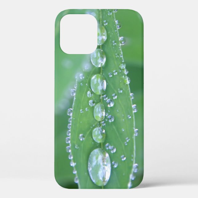 Dewdrop Case-Mate iPhone Case (Back)