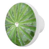 Dewdrop