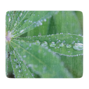 Dewdrop Cutting Board