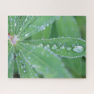 Dewdrop Jigsaw Puzzle