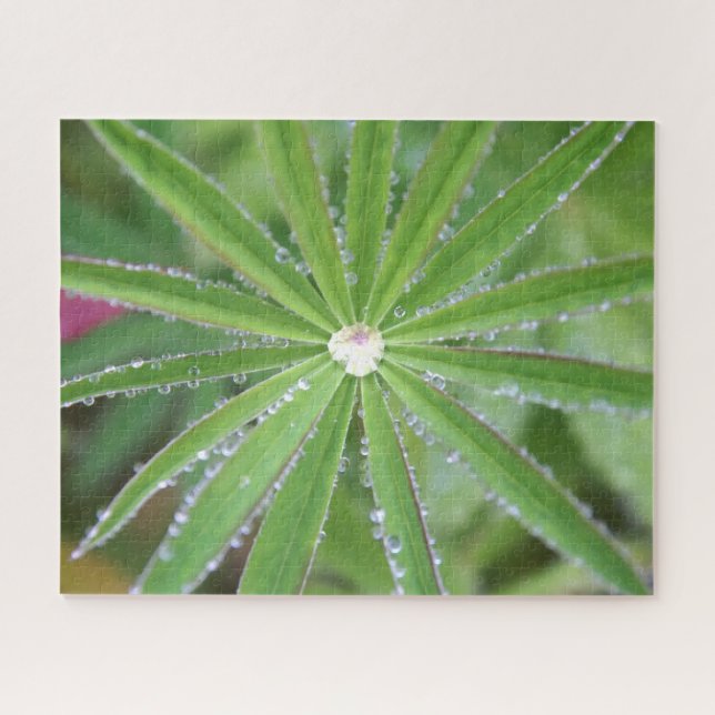 Dewdrop Jigsaw Puzzle (Horizontal)
