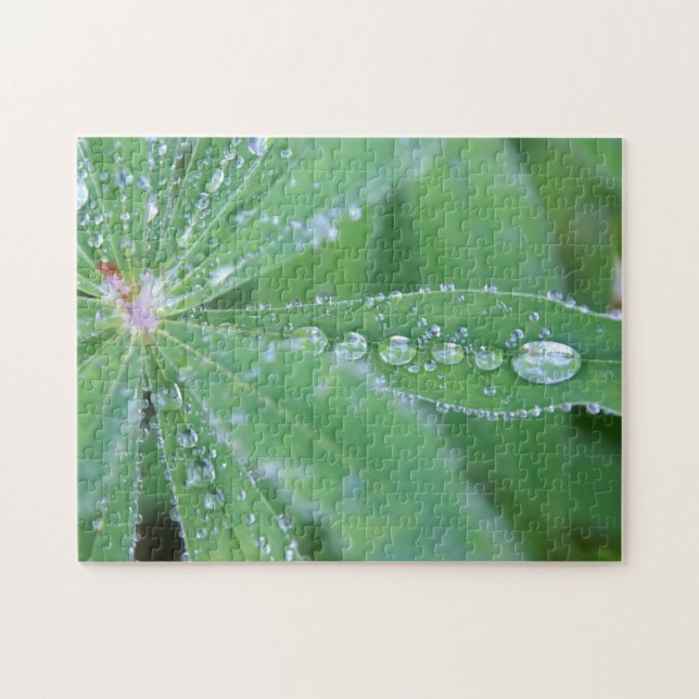 Dewdrop Jigsaw Puzzle (Horizontal)