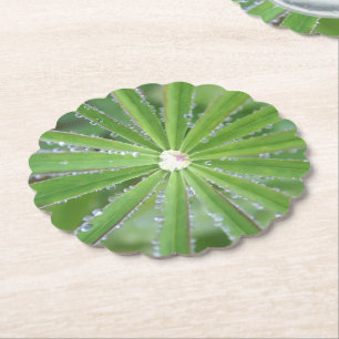 Dewdrop Paper Coaster