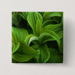 Dewdrops on a False Helabore 2 Inch Square Button