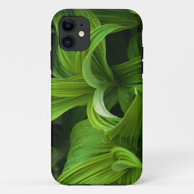 Dewdrops on a False Helabore Case-Mate iPhone Case (Back)