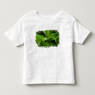 Dewdrops on a False Helabore Toddler T-shirt
