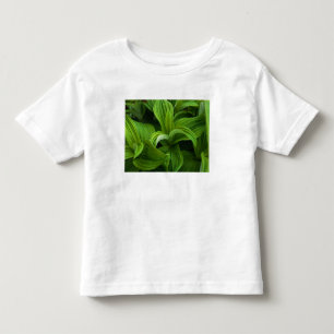 Dewdrops on a False Helabore Toddler T-shirt