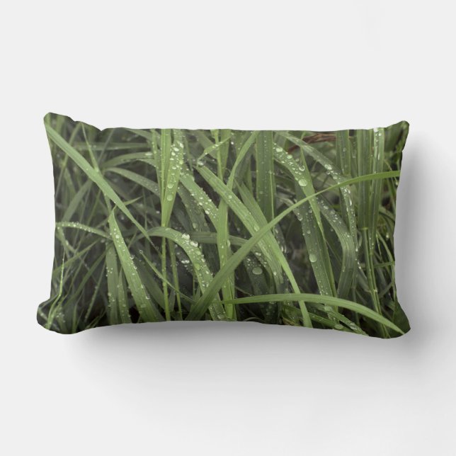 Dewdrops on Grass Lumbar Pillow (Front)