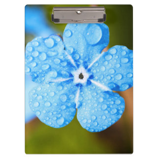 Dewey blue flower clipboard