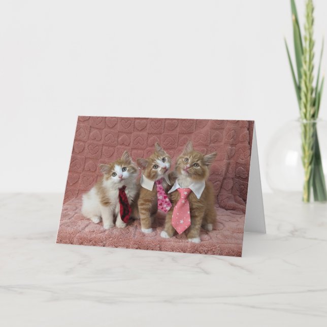 Dewey, Louie and Huey are all dressed up Card (Front)