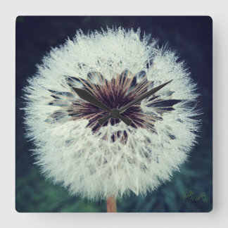 Dewy Dandelion Horloge ...Horloge!