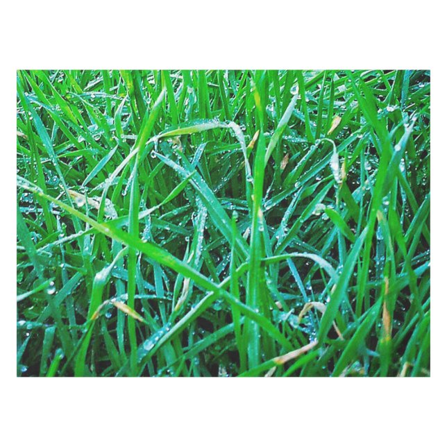 Dewy Grass Tablecloth (Front (Horizontal))