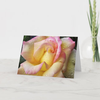 dewy rose card