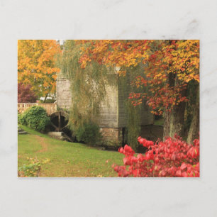 Dexter Grist Mill Sandwich Cape Cod Postcard