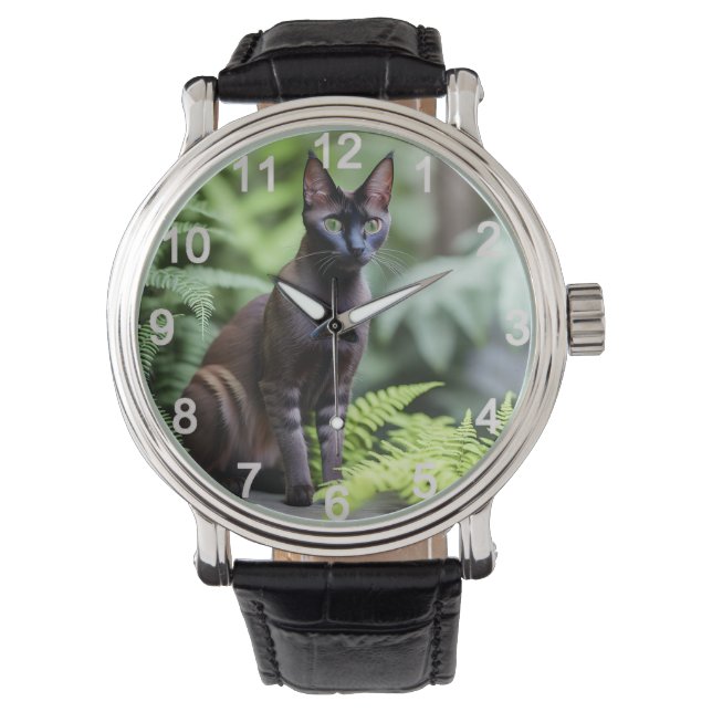 Dexter Le Chat Siamois Noir, Montre (devant)